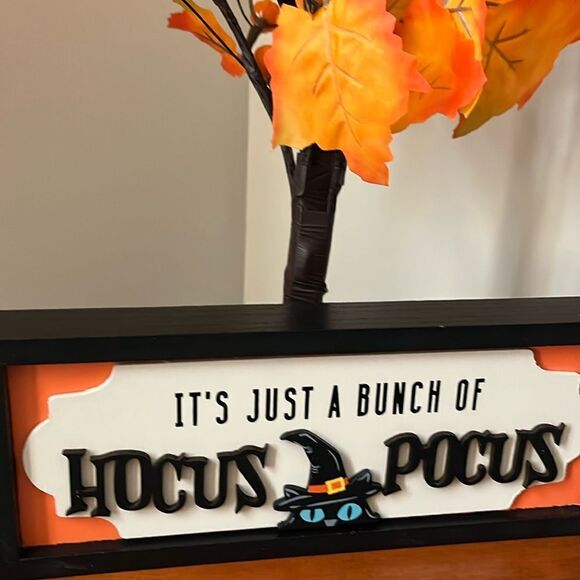 IT’S JUST A BUNCH OF HOCUS POCUS - Picture 2 of 2